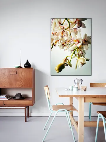 Tiny Orchids