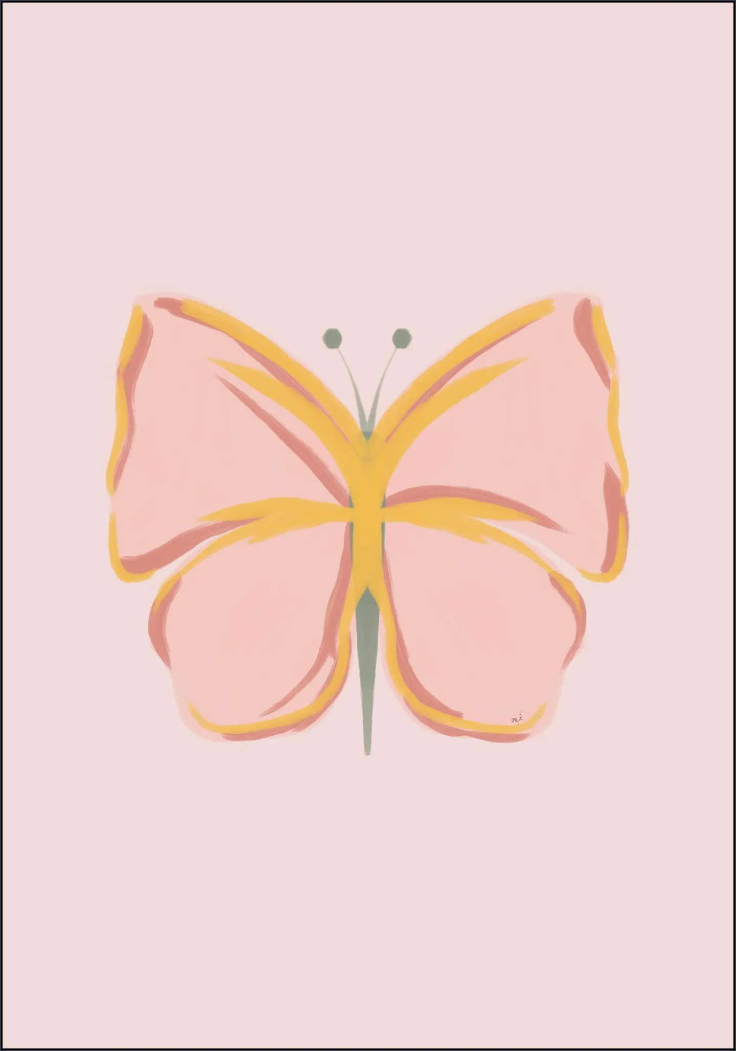 Colorful Butterfly