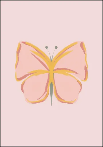 Colorful Butterfly