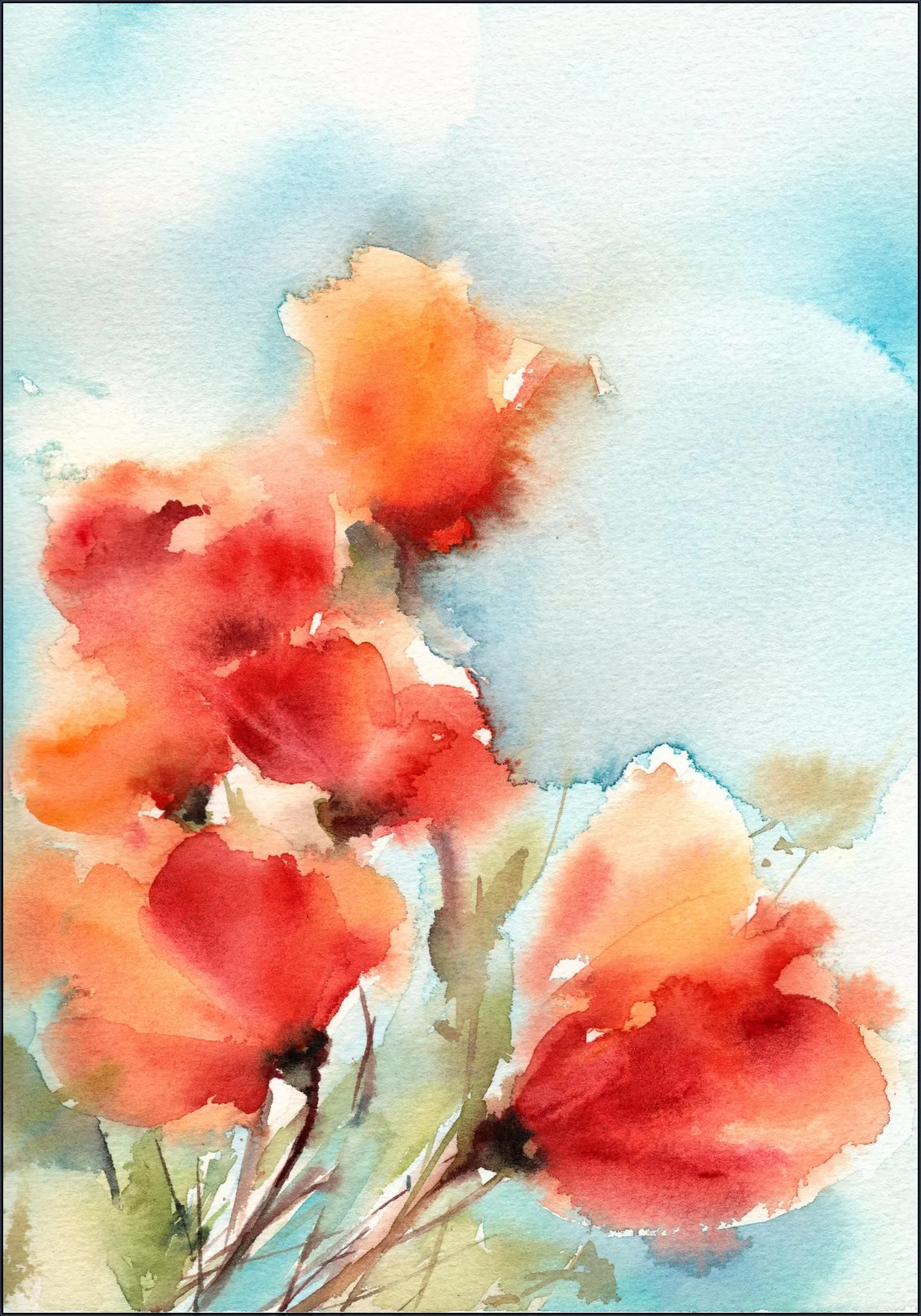 Poppies
