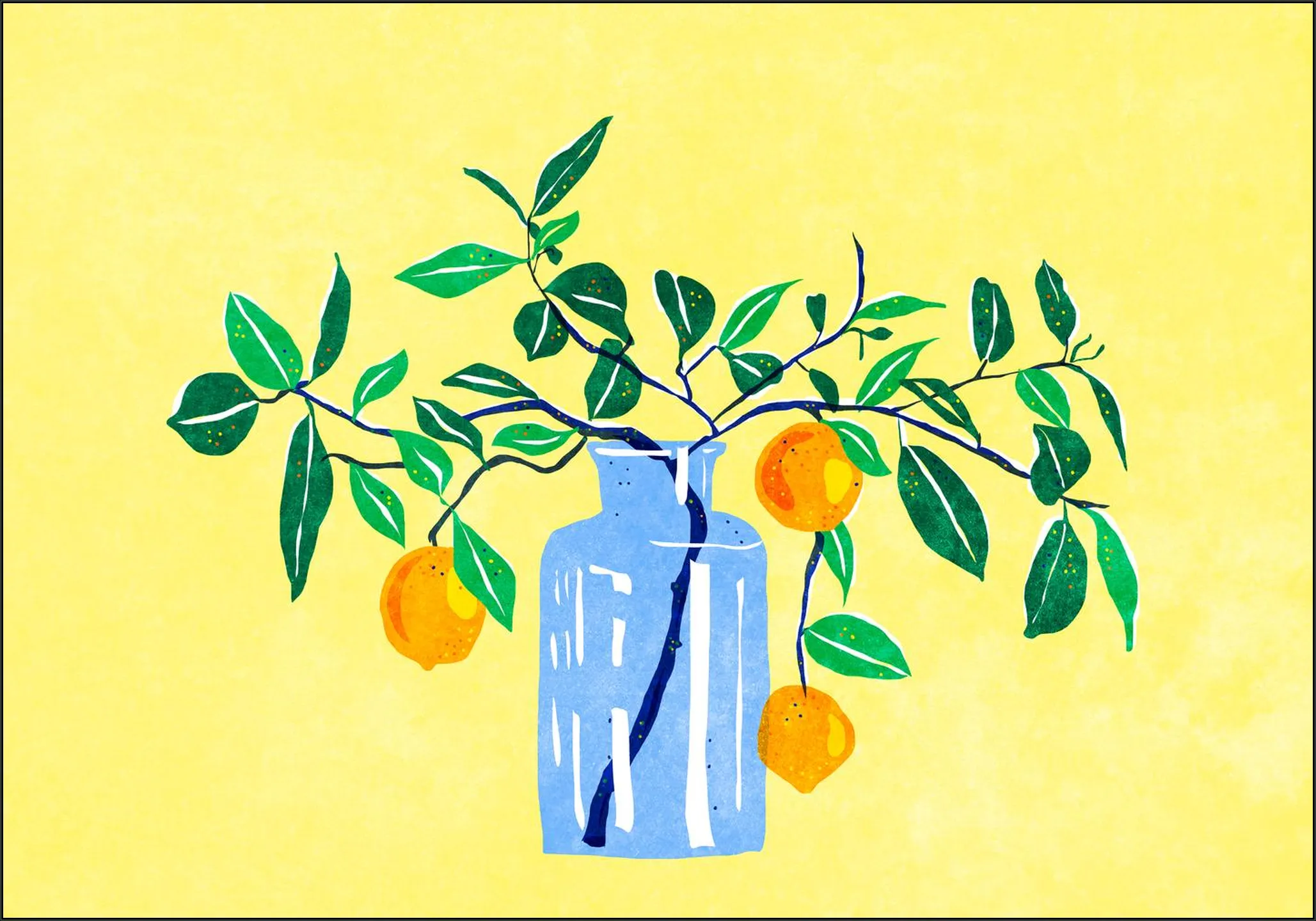 Orangetree