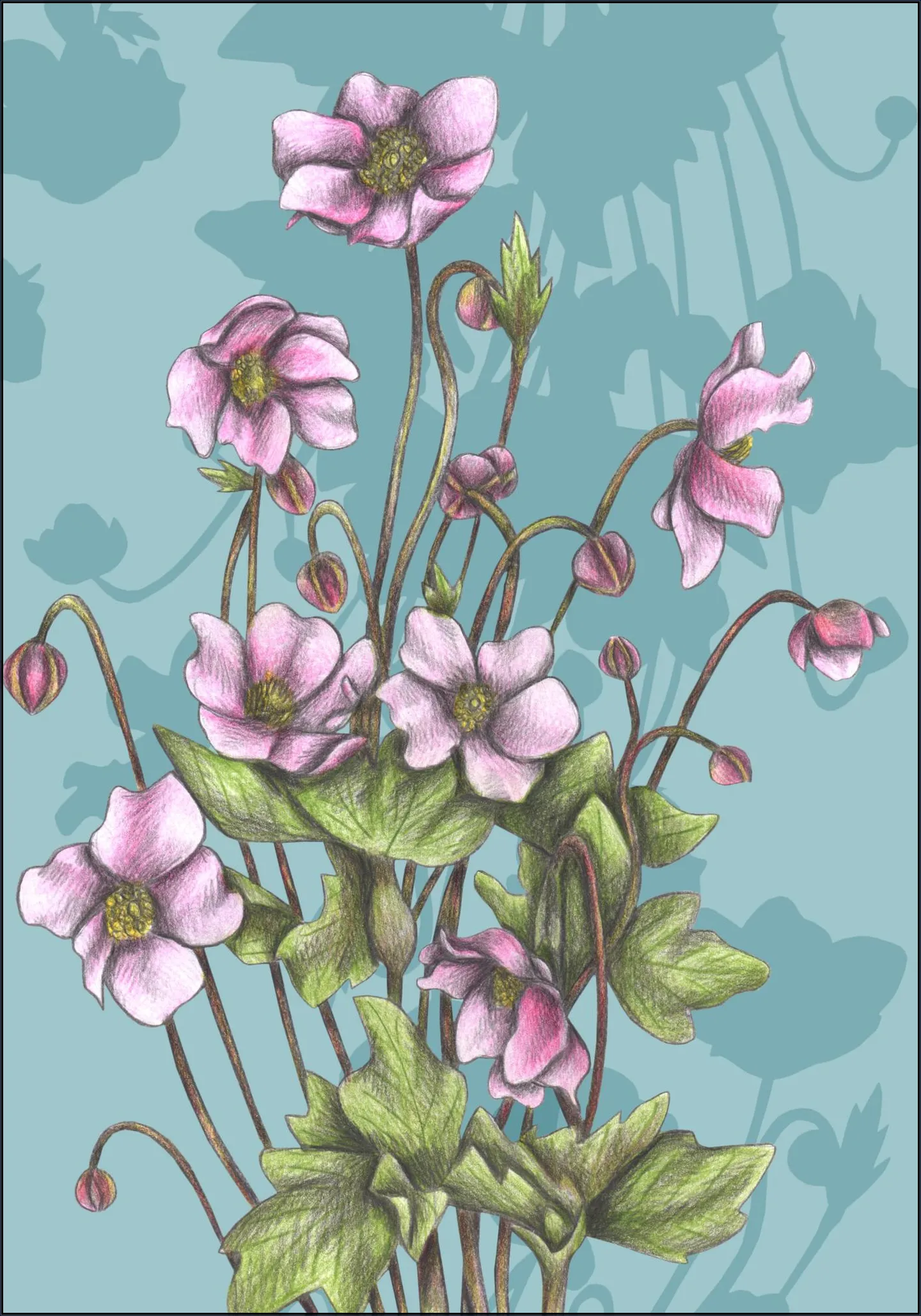 Winter Anemones