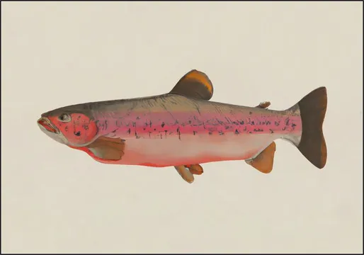Fishy