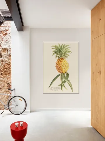 Ananas 2