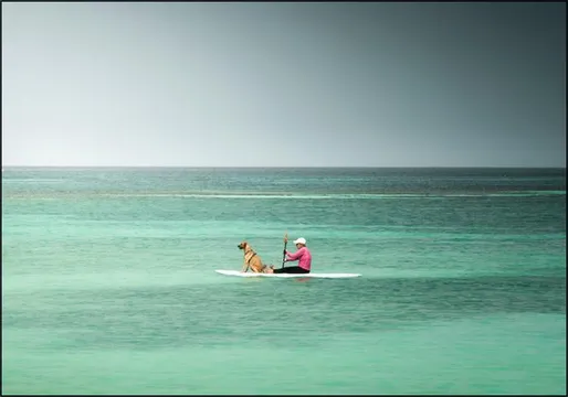 Paddleboarder On Calm Tropical Waters