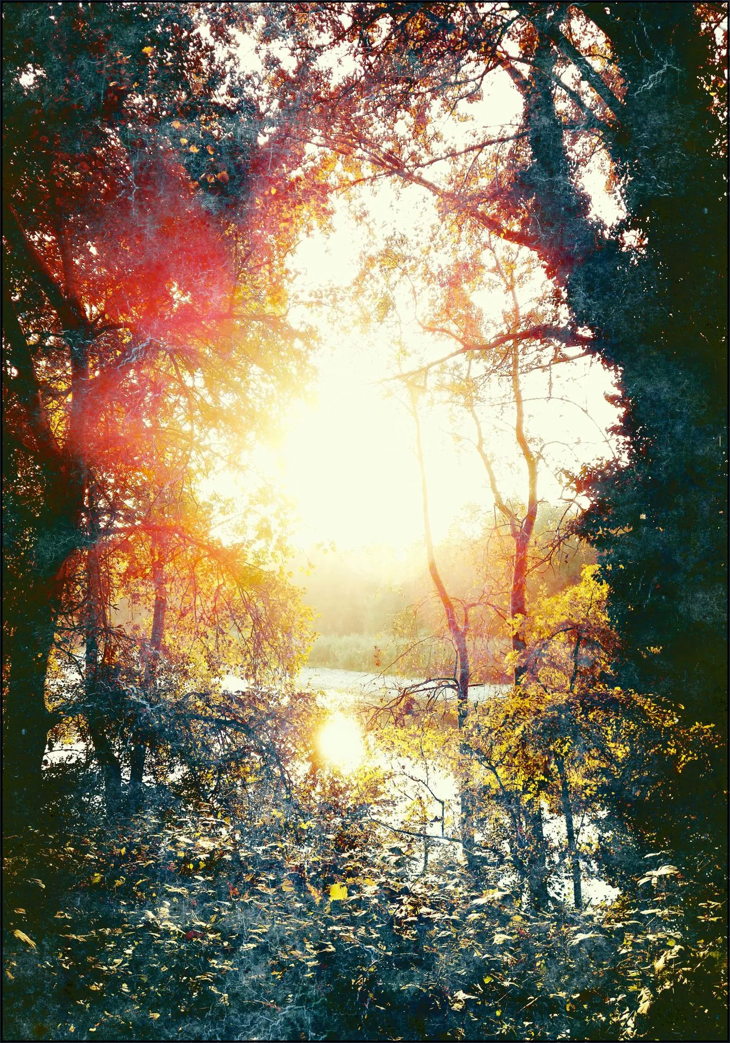 Sunset Gift