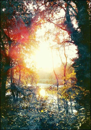 Sunset Gift