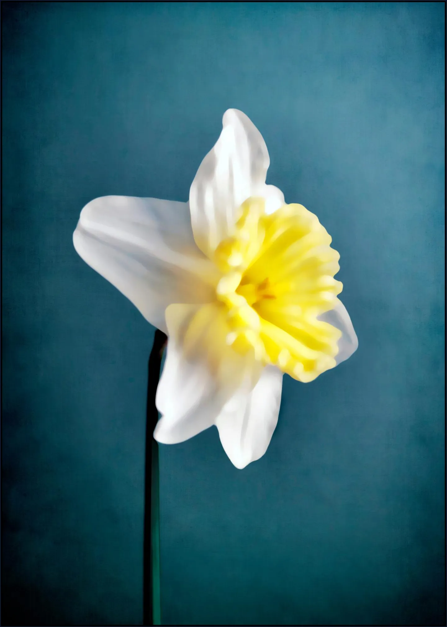 Narciso
