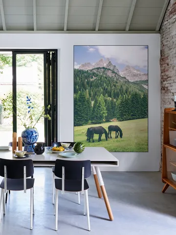 Friesian Horses in Alps