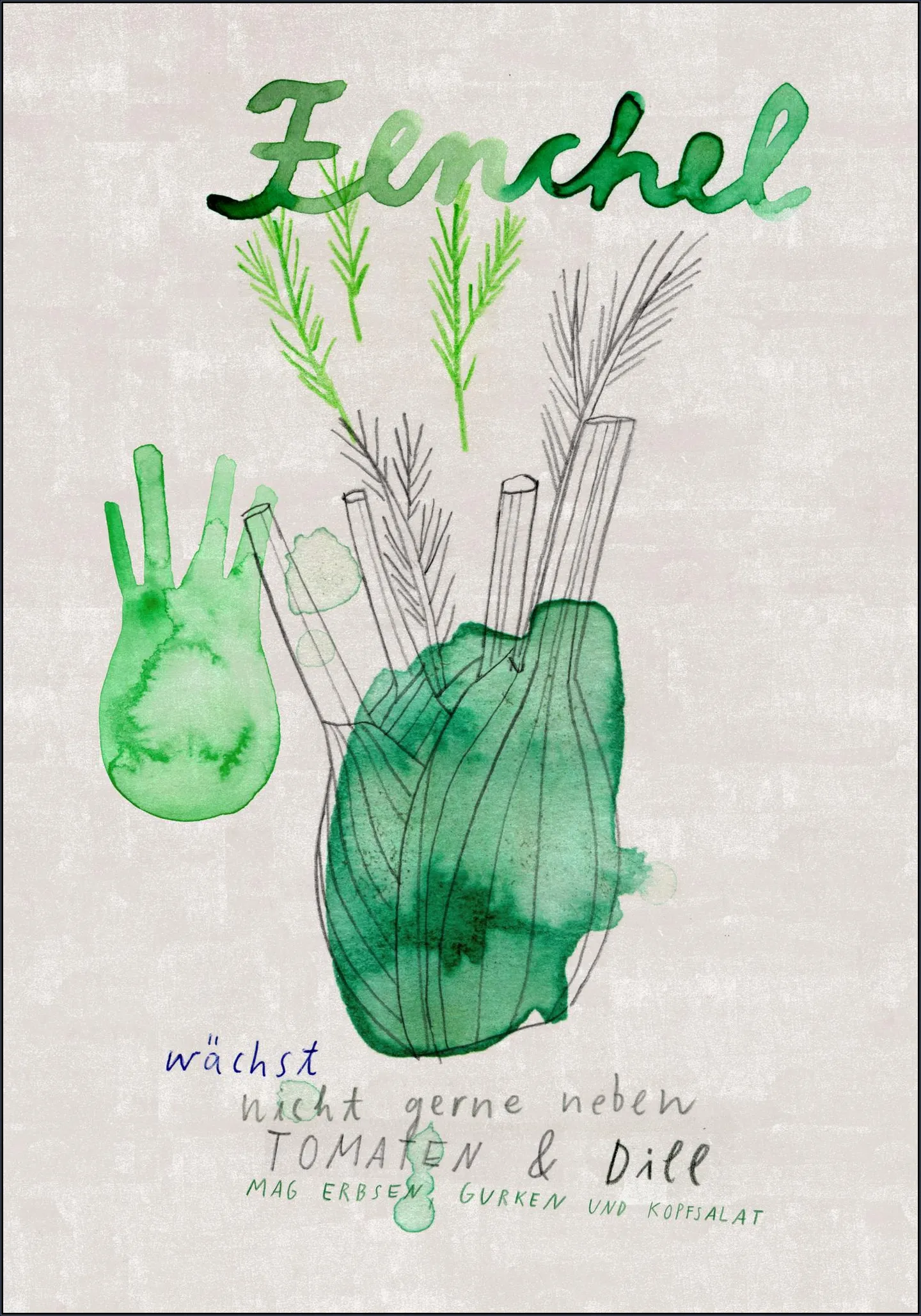 Fenchel