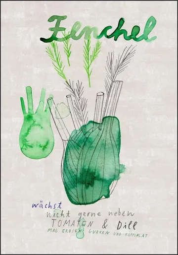 Fenchel