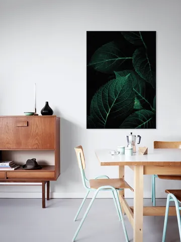Dark Leaves