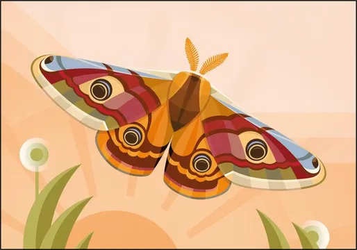 Emperor Moth