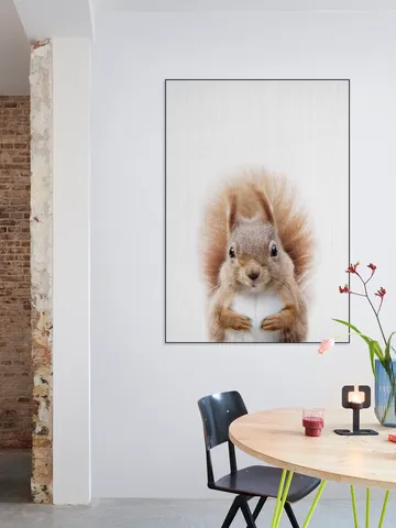 Squirrel