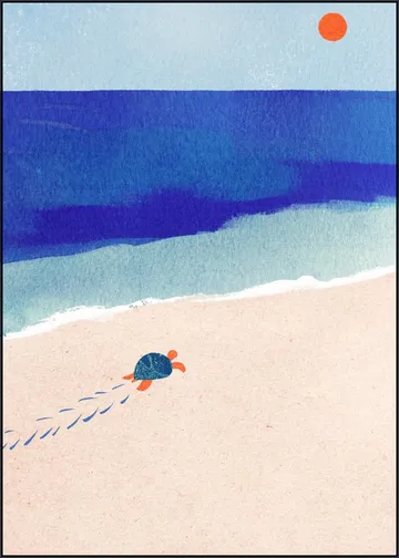 Turtle