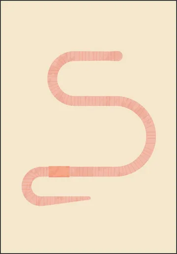 The Earthworm
