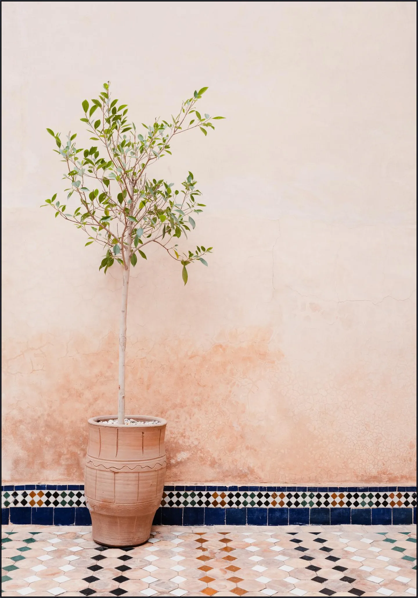 Terracotta Plant In Morocco