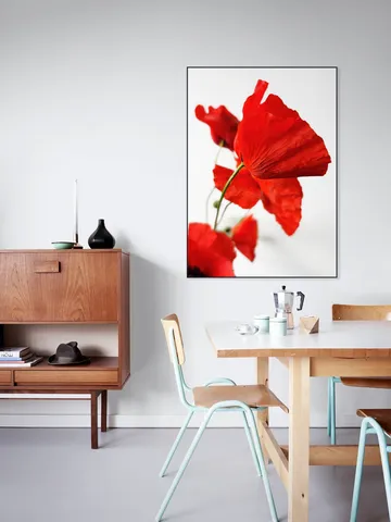 Poppies