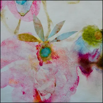 Butterflies Kissing Blossom