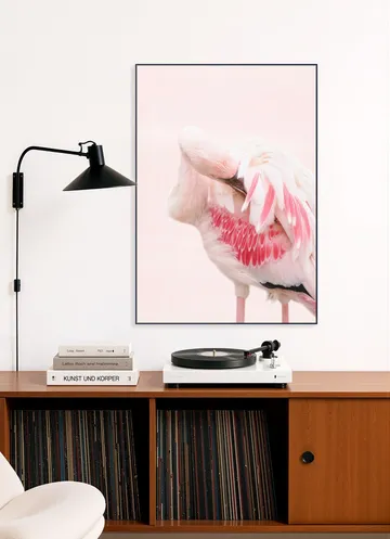 Pink Flamingo