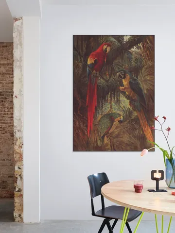 3 Parrots