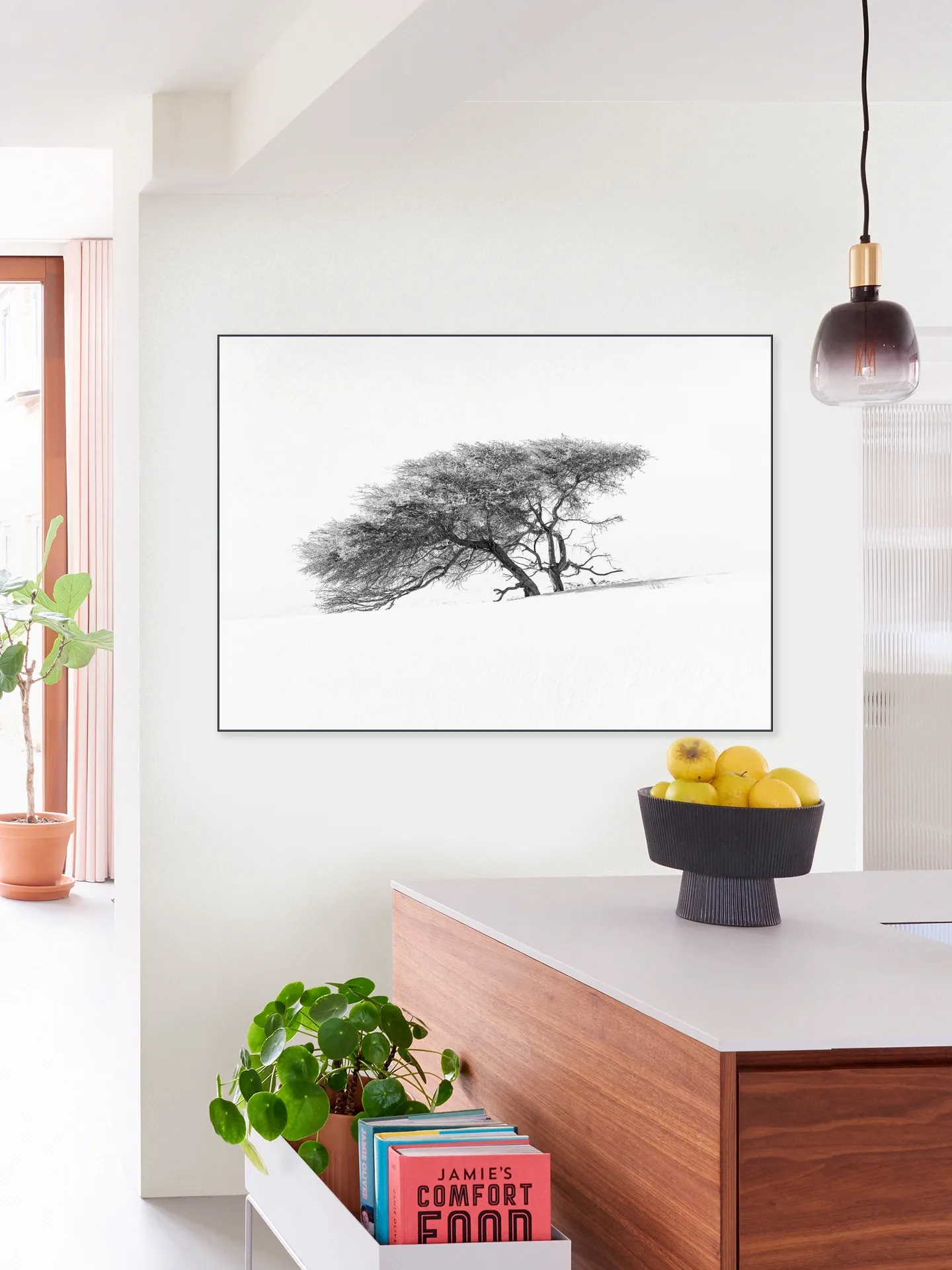 Tree in Sahara Desert