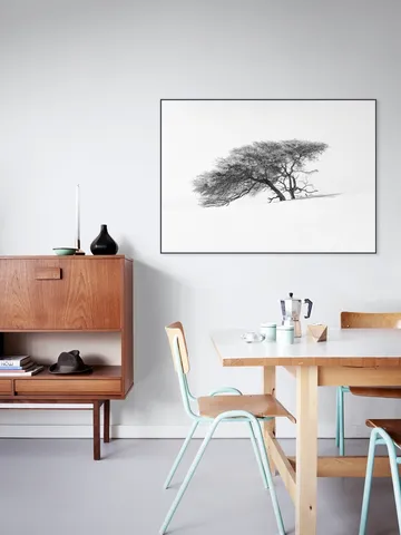 Tree in Sahara Desert