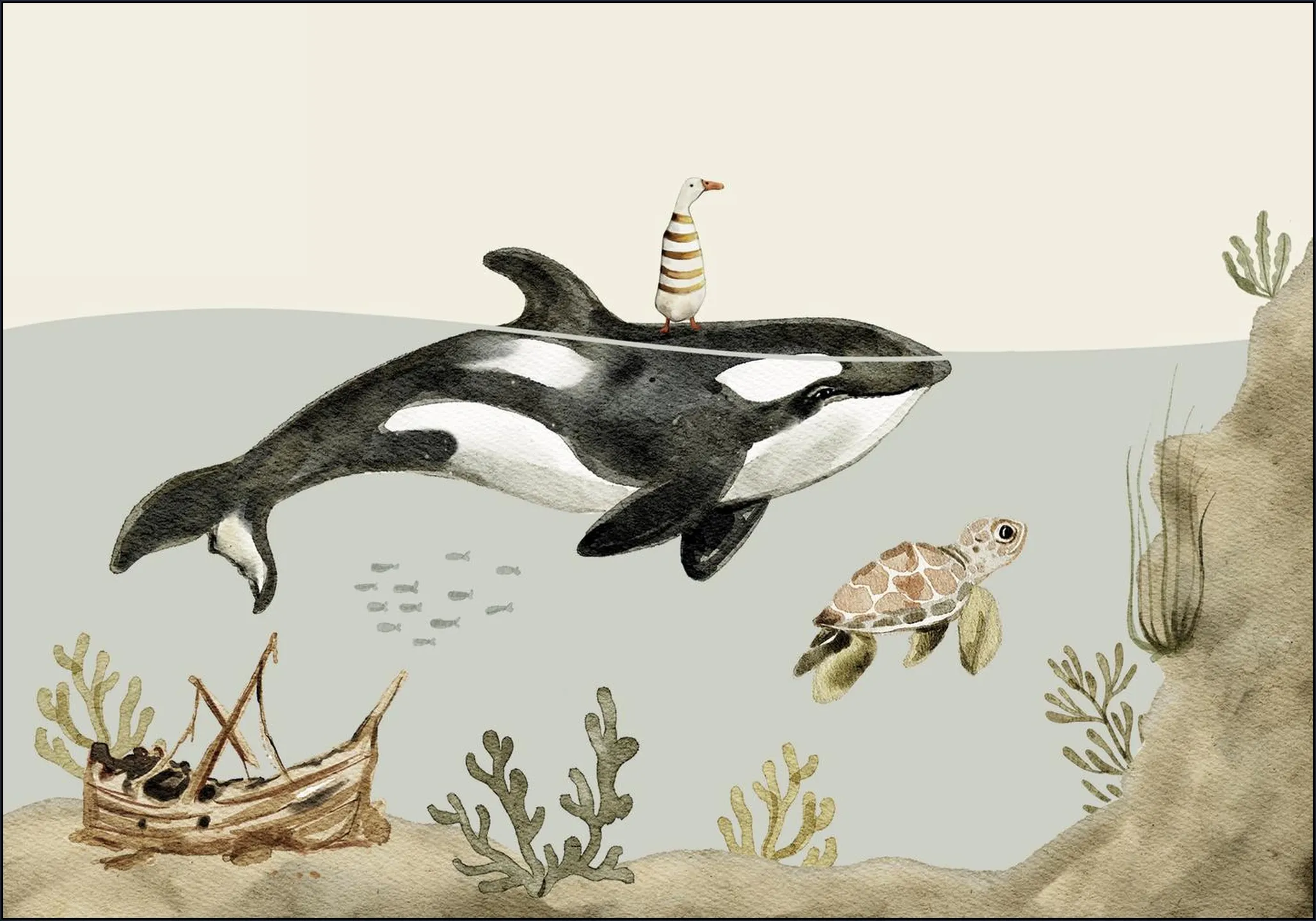 Orca Ocean