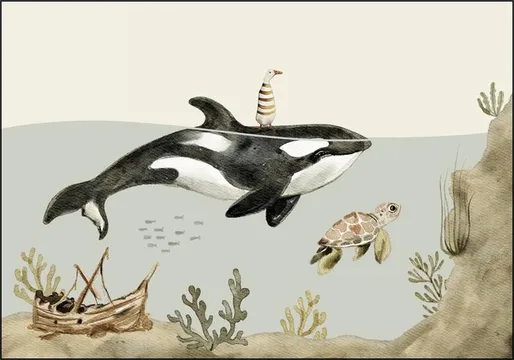 Orca Ocean