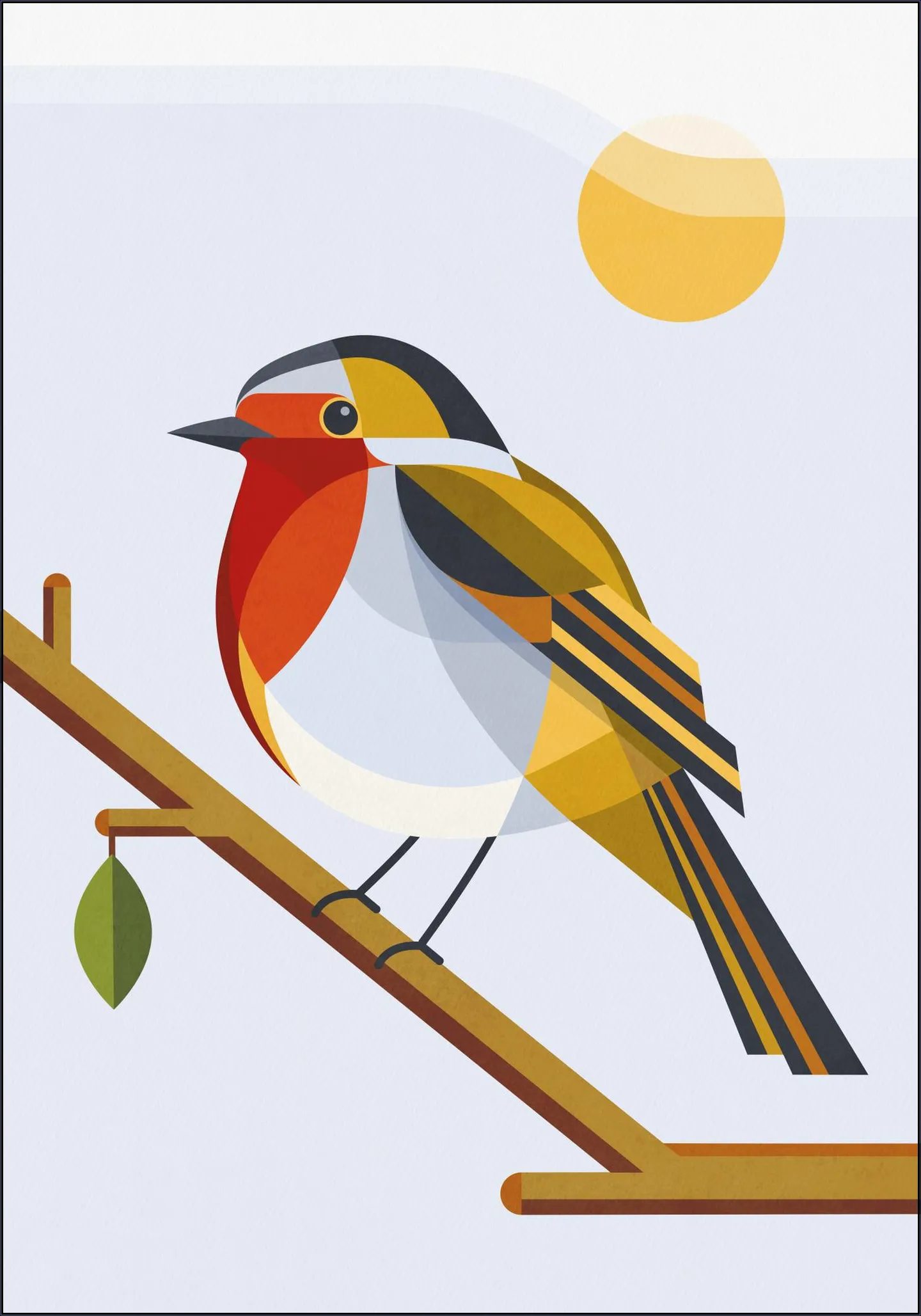 Robin
