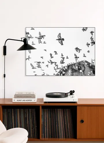 Birds in the Sky