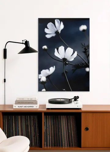 Wild Flowers
