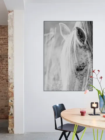 Wild Horse Indie Rose