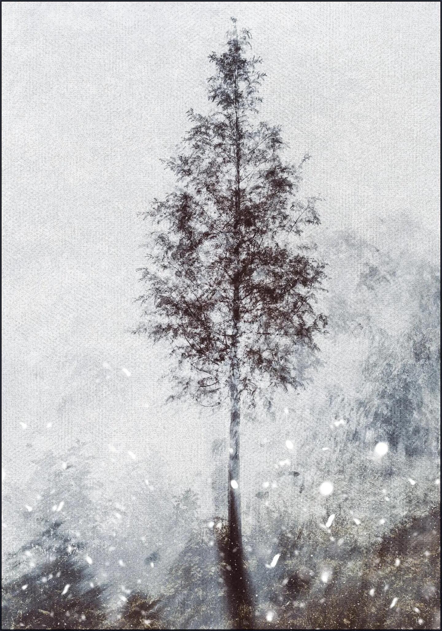 Winter Tree