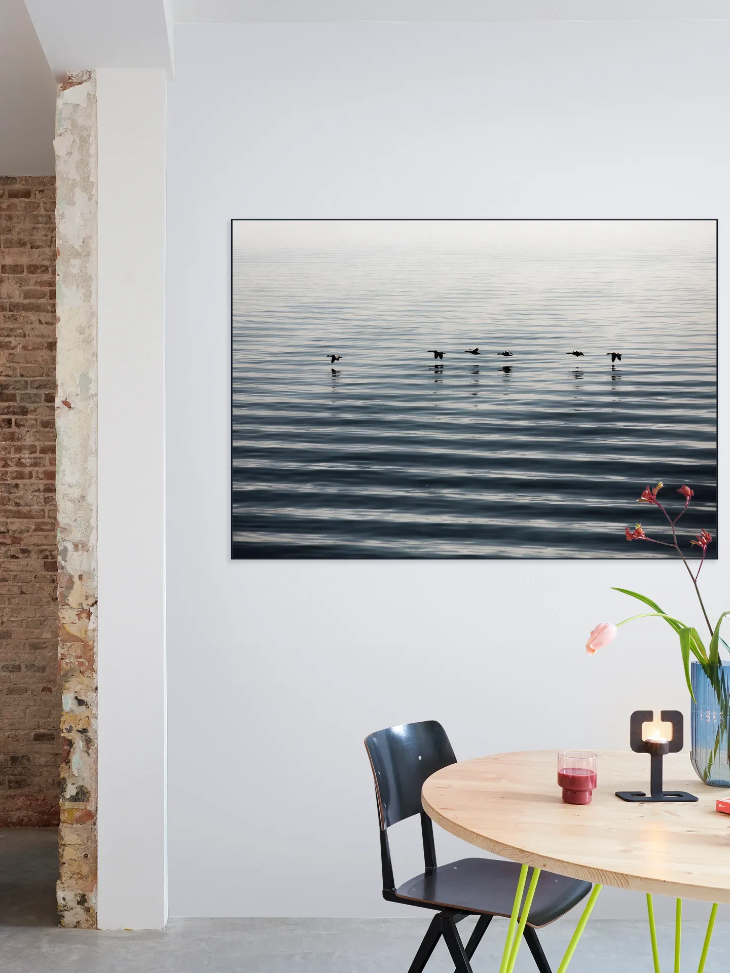 Waddenislands-Birds Flyover