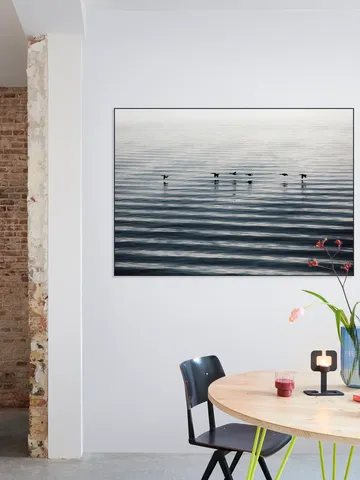 Waddenislands-Birds Flyover