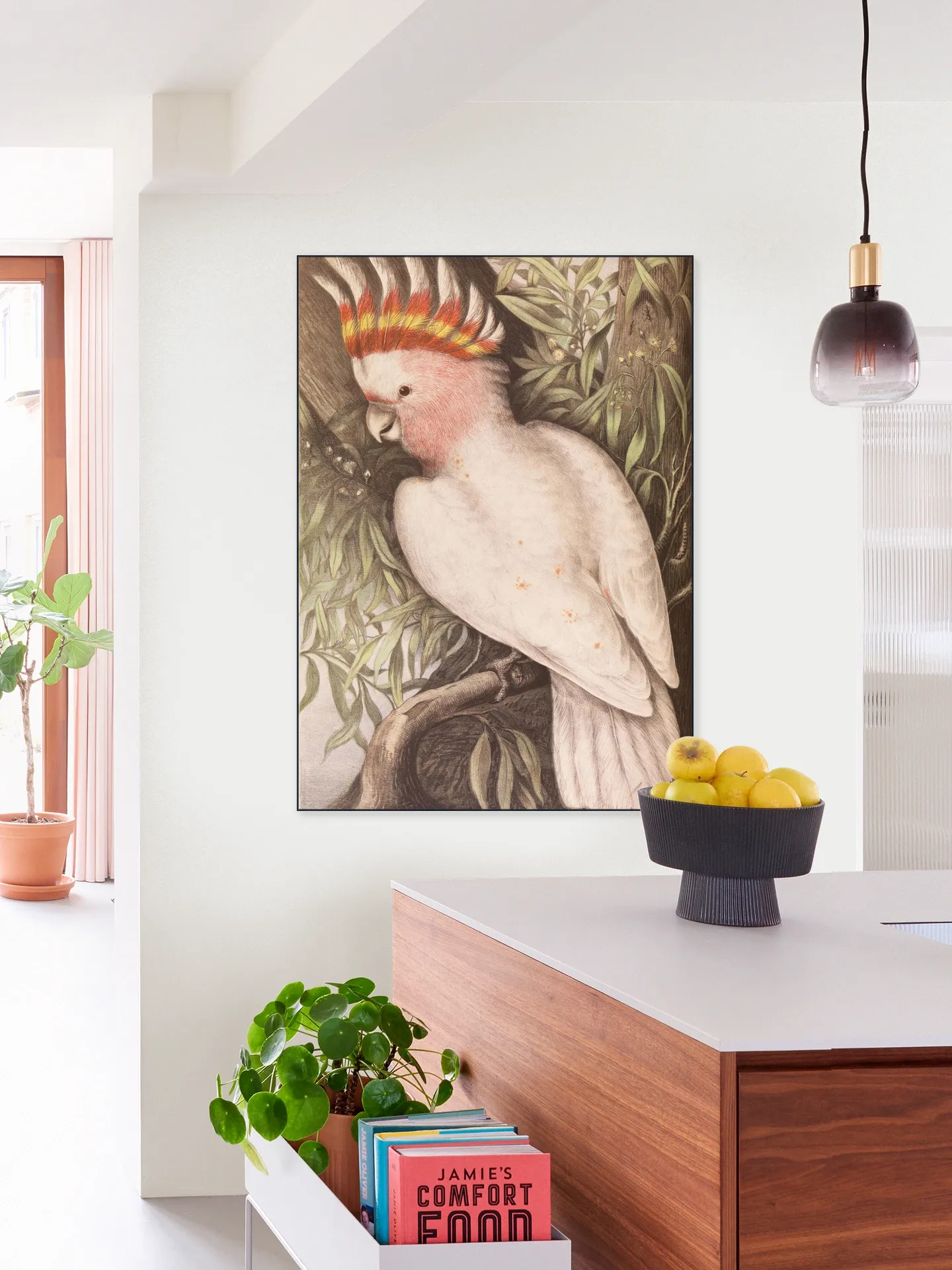 Cockatoo