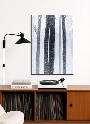 Snow Trees 2