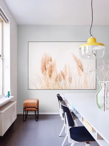 Pampas Grass
