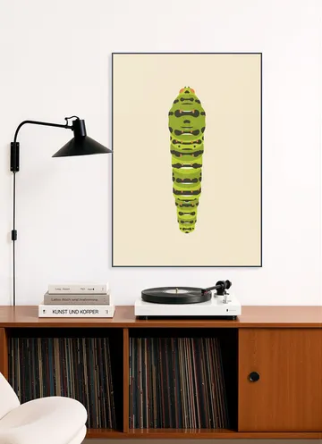 The Queen Page Caterpillar