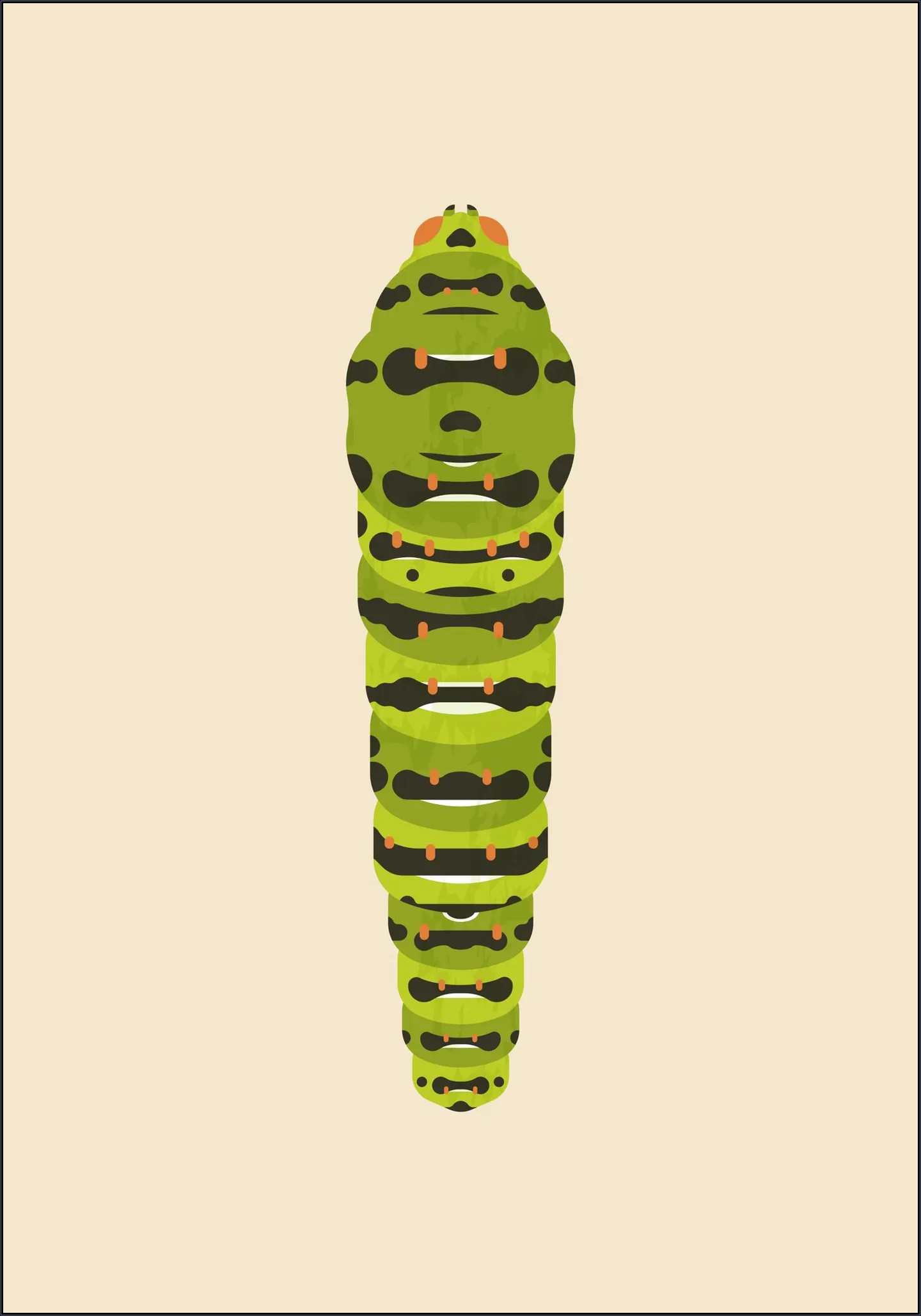 The Queen Page Caterpillar