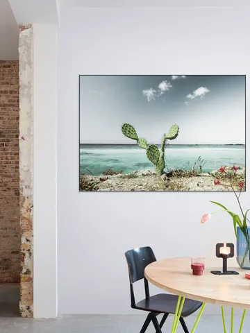 Tropical Cactus