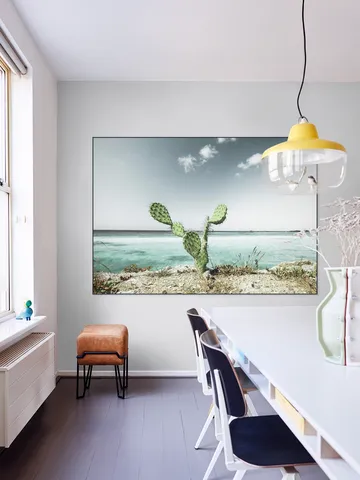 Tropical Cactus