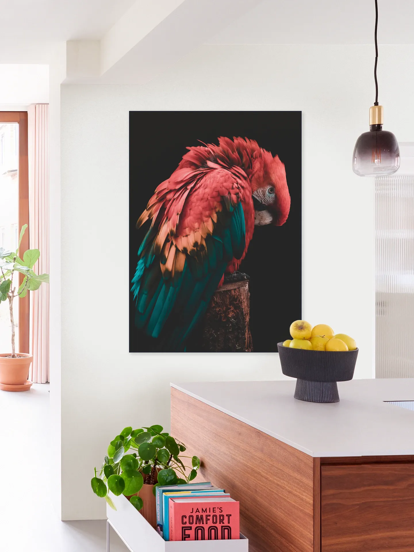 Bashful Beauty Parrot