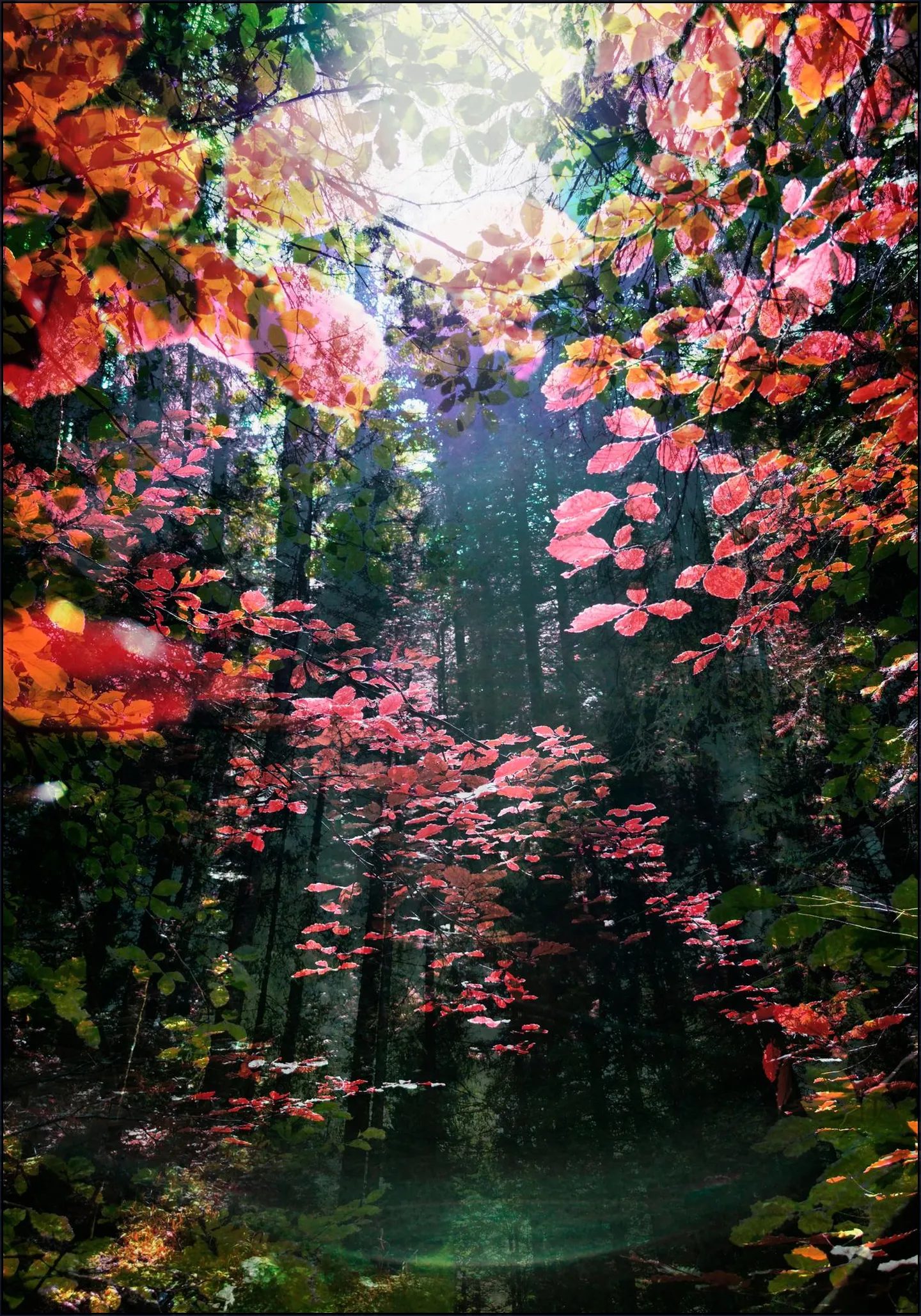 Enchanted
