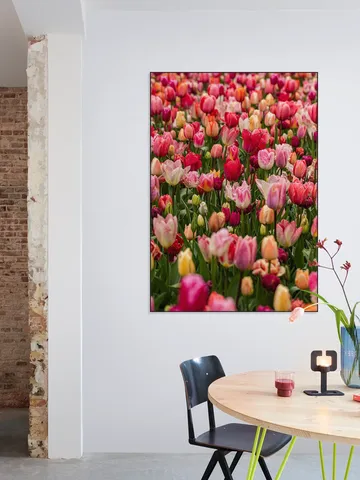 Keukenhof