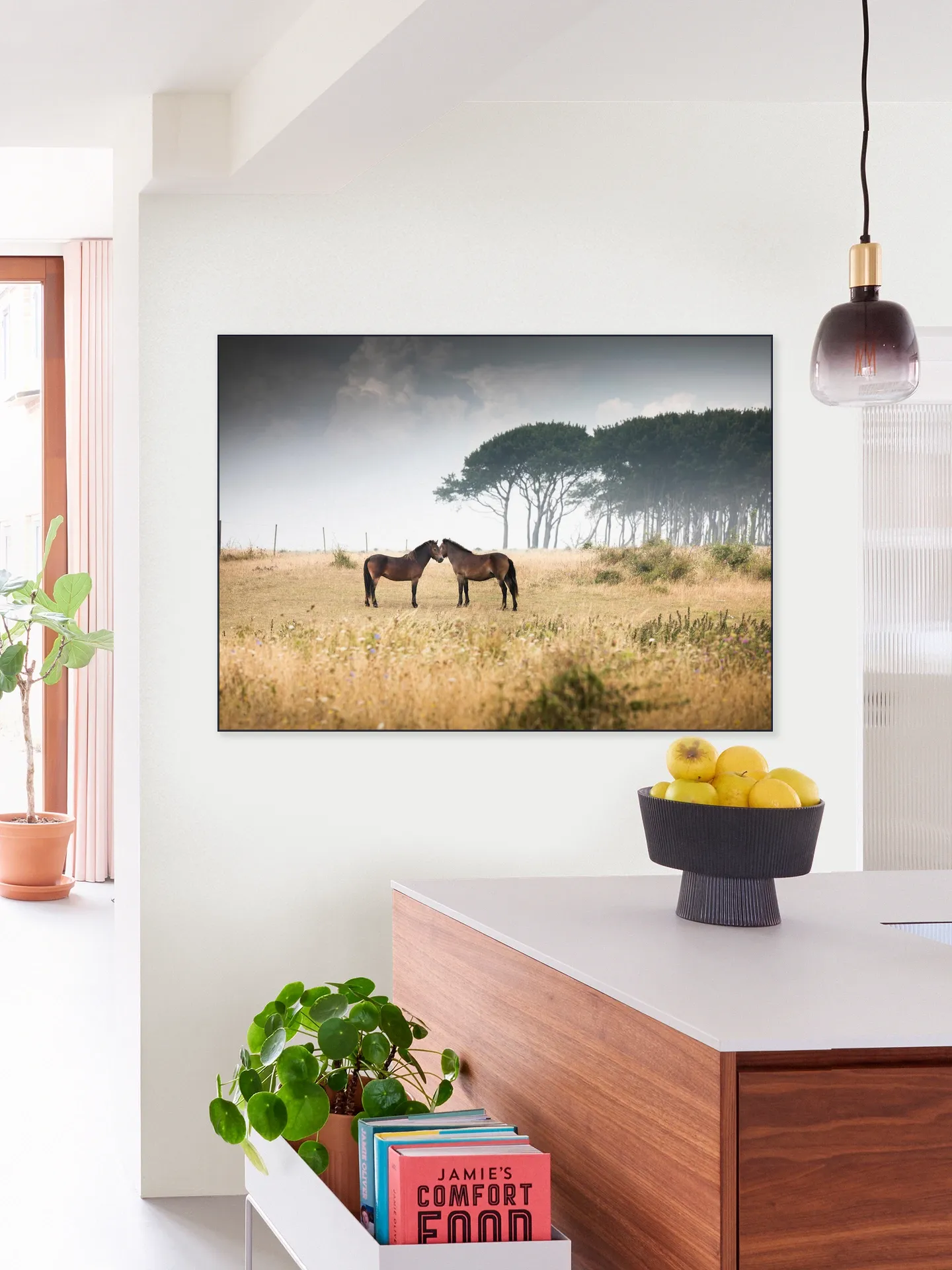 Vilde Heste Denmark Horses