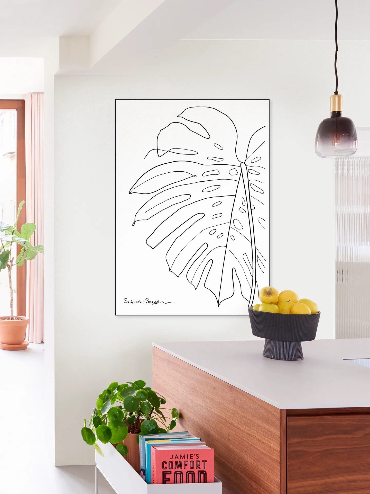 Monstera white