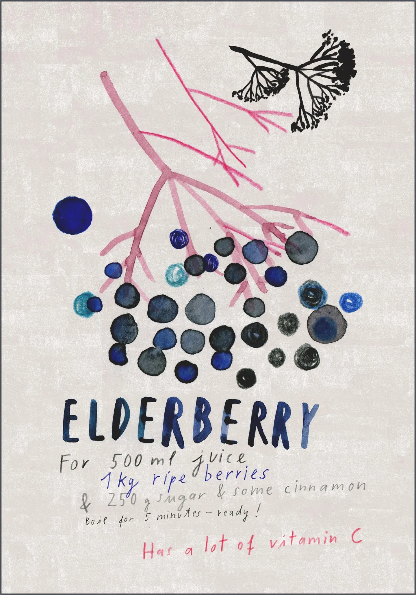 Elderberry