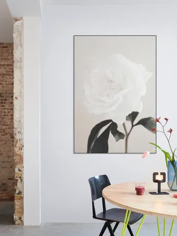 Peony 03